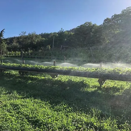 Tenuta Ca Di Bertucci Solignano